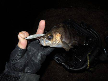 可能性は感じます