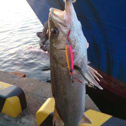 停泊船ゲ―ム開幕