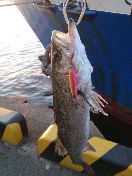 停泊船ゲ―ム開幕