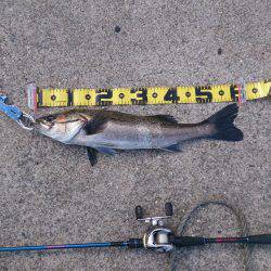 続 停泊船ゲ―ム