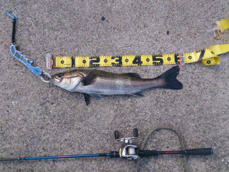 続  停泊船ゲ―ム