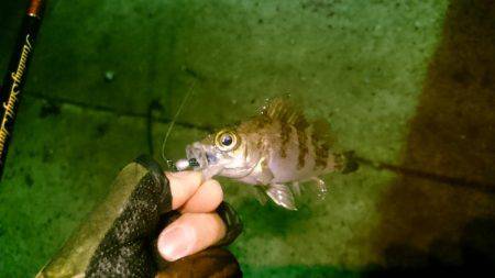 少しましになったけどまだ渋い!