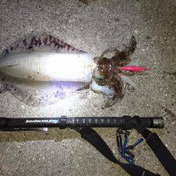 渋ければ渋いほど…