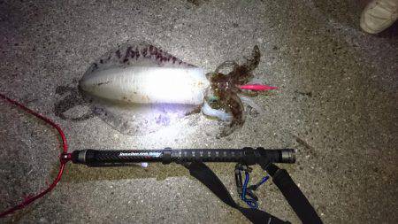 渋ければ渋いほど…