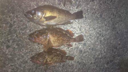 穏やかな夕マヅメ