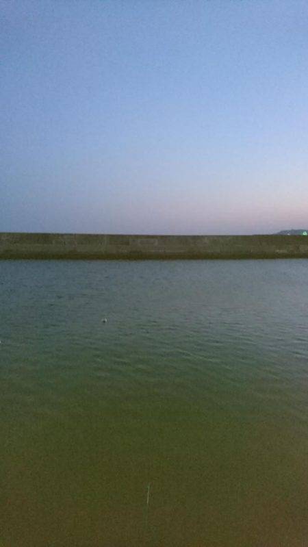 連日のメバリング