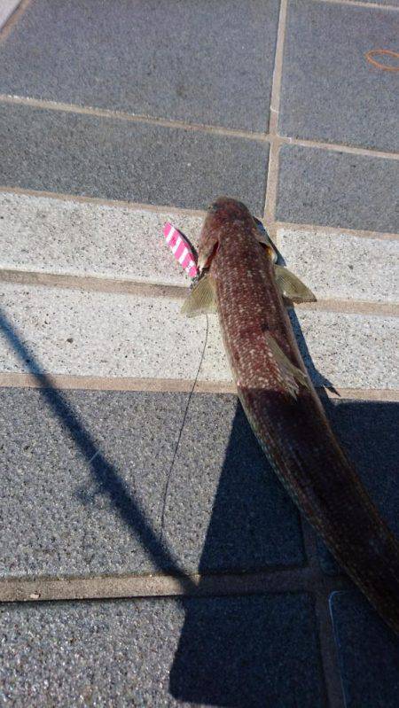 良いとこでしたが、