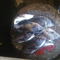 今年初の二桁！！