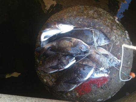 今年初の二桁！！