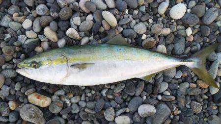 宮崎海岸ショアジギ