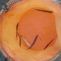 えさなしサビキ