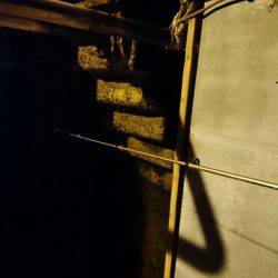 胴突きで根魚釣り