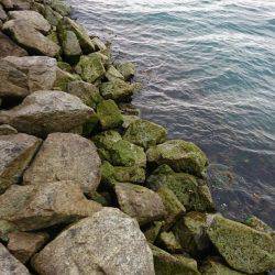 根魚の探り釣り