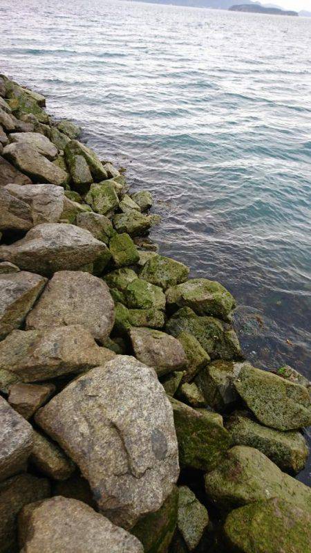 根魚の探り釣り