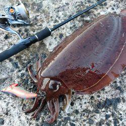 モンスター出現