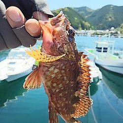 付き合いの良い奴