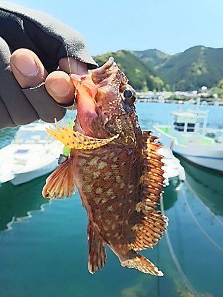 付き合いの良い奴