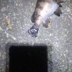 風がないのに…