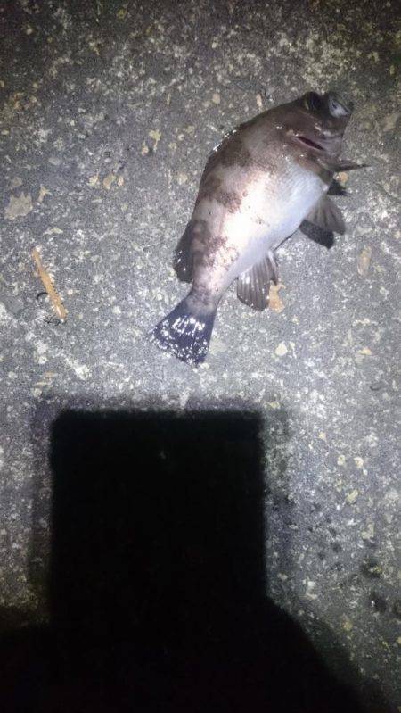 風がないのに…