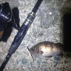 トラブルシューティング