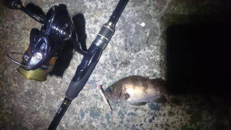 トラブルシューティング