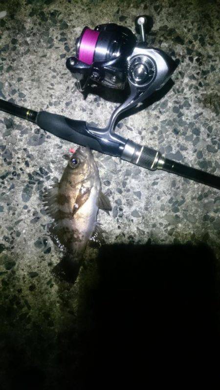 ヤッパ潮かな。