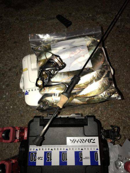 アジング釣行記