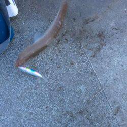 エソゲーム炸裂‼︎