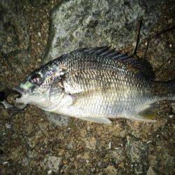 仕事帰りの癒し