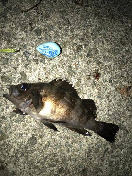 仕事終わりメバリング