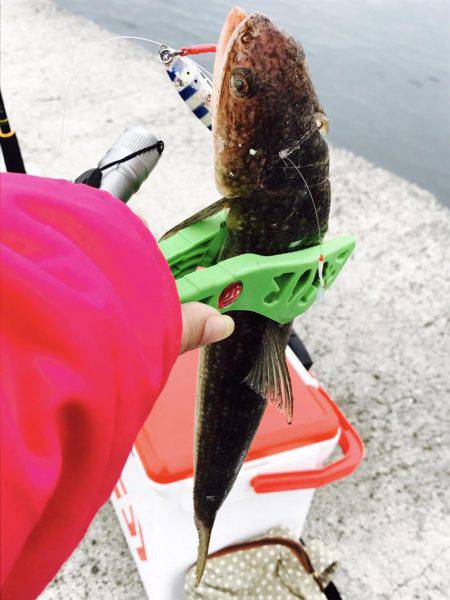 エソ神降臨( ´∀｀)