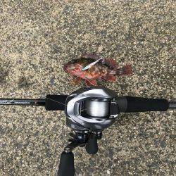 マイクロショアジギング