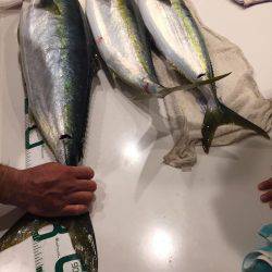 宮津市 船ジギング ブリ!