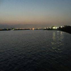 メバルを釣りたくて！