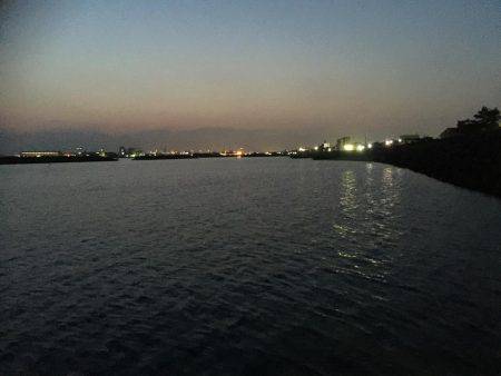 メバルを釣りたくて！