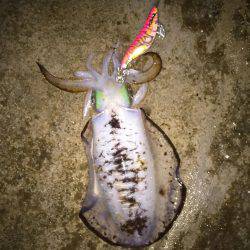 思ったよりうねりが・・・