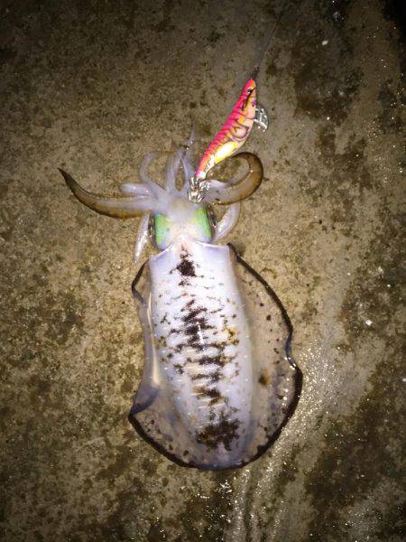 思ったよりうねりが・・・