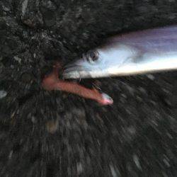 夕まずめパトロール