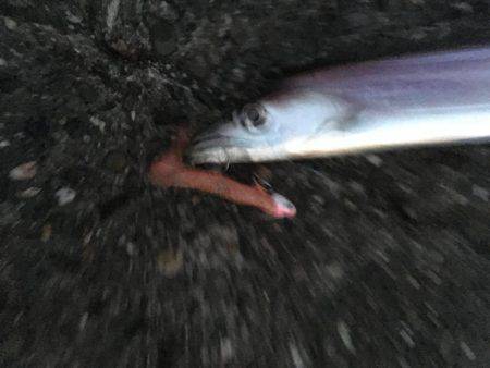 夕まずめパトロール