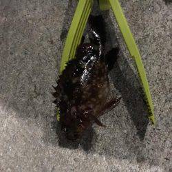 暖かくなりました