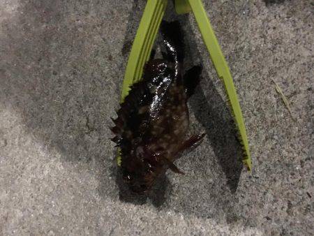 暖かくなりました