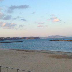 春告魚を求めて