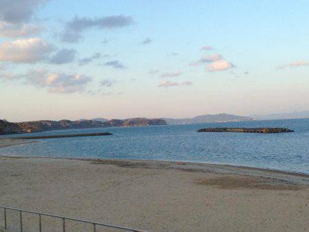 春告魚を求めて