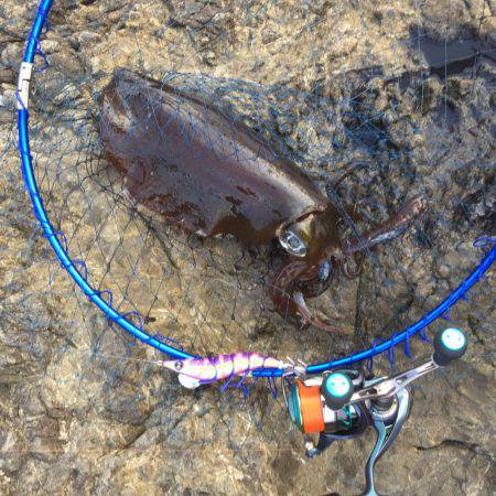 単身赴任釣行 2杯目