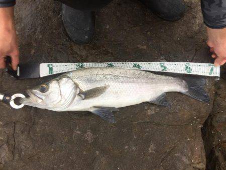 チョットサイズアップ