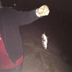 初めての阪神エリア