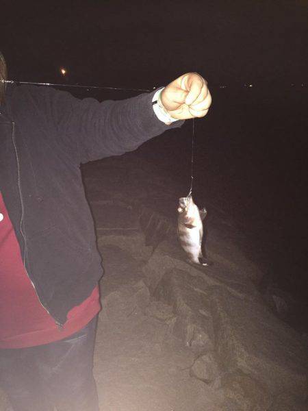 初めての阪神エリア