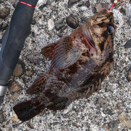 午後からのんびりブラクリ。