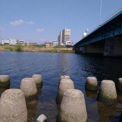 テナガエビ調査釣行in多摩川 まだちょっと早い!?