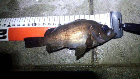 ﾒﾊﾞﾘﾝｸﾞ苦戦